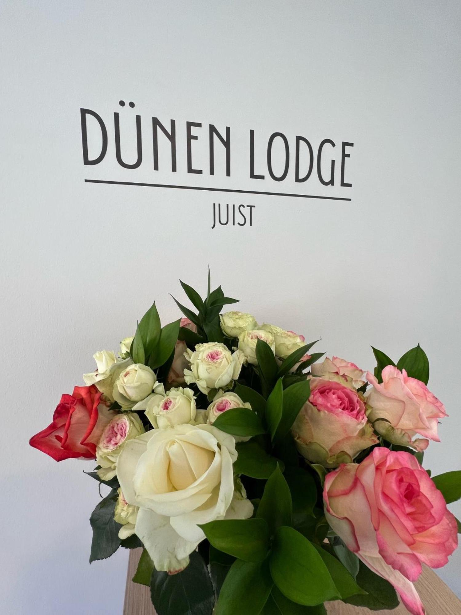 Duenen Lodge 3 Juist Luaran gambar